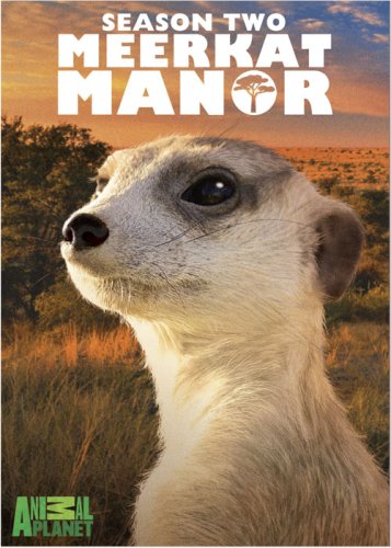 Meerkat Manor: Season 2