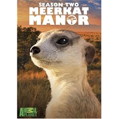 Meerkat Manor, Season 2 by 