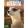 Meerkat Manor, Season 2