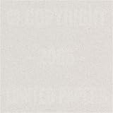 Passport Smooth Pumice 80# Cover 8.5x11 250/pack