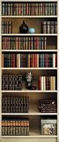 Brewster Wallcovering 2-1202 Riding Horse 2 part Door Mural 3' 2