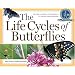 The Life Cycles of Butterflies: From Egg to Maturity, a Visual Guide to 23 Common Garden Butterflies