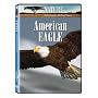 Nature:American Eagle