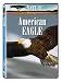 Nature:American Eagle