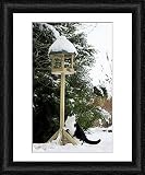 Framed Print of Cat - black a white cat climbing up a bird feeding table in snow from Ardea