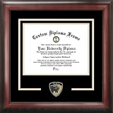 University of South Florida Bulls - College Mascot - Spirit Mat Cutout - Diploma Frame