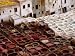 Fes Leather Tannery with its Colourful Wells and Pungent Odor Art Photographic Poster...
