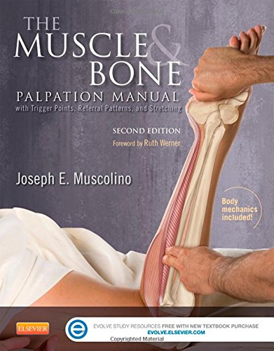 The Muscle and Bone Palpation Manual with Trigger Points, Referral Patterns and Stretching, 2e
