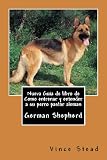 Nueva Guia