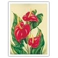 BUY : Anthurium II, Red Tropical Flowers by Ted Mundorff - Vintage Hawaiian Art Poster Print - 9" x 12"