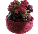 Corky and Company Berry Granny's Garden flower top Hat