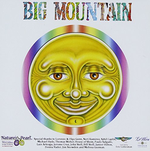 Big Mountain - Versions Undercover - Zortam Music