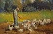 Chicken Yard
