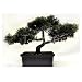 51edygt6lgL. SL75  Bonsai Artificial Tree