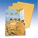 Gütermann / KnorrPrandell 8260079 - Folia Mappe Prägefolie 19x30cm gold