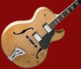 Washburn Hollow Body J3 Electric Guitar