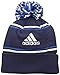 NBA Men's Energy Stripe Cuffed Knit Pom