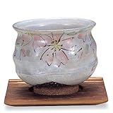 ��J�� �����Ղ��q �u�����v�i��t�j��� ���F�q�@���� �a�H�� ���̂�