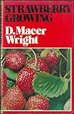 Strawberry growing