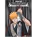 Bleach Ichigo Rukia Cloth Wall Scroll Poster Ge-9720