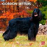Gordon Setters 2013 - Original BrownTrout-Kalender