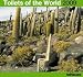 2009 Toilets of the World Wall Calendar (Grid Calendar)