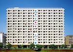 団地の見究