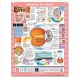 YOUR EYES CHART
