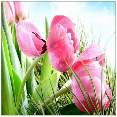 Creative Modern Art Giclee Canvas Print Pink Tulip Flower Prints On Canvas 12" x 12" Inch, Stretched and Framed Home Decor Wall Living room Office Canvas Art Wall