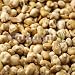 Fastachi� Wasabi Soy Nuts