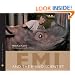 Emi and the Rhino Scientist (Scientists in the Field)