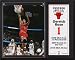Derrick Rose 12x15 Player Plaque