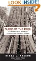 Taking Up the Runes: A Complete Guide to Using Runes in Spells, Rituals, Divination, and Magic