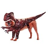 Raptor