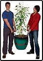 PotLifter 200-Pound Gardening Heavy Lifting Tool
