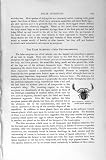 NATURAL HISTORY 1896 BOOK SCORPION CHELIFER CANCROIDES