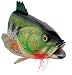 Outdoor Lover Largemouth Bass Birdhouse