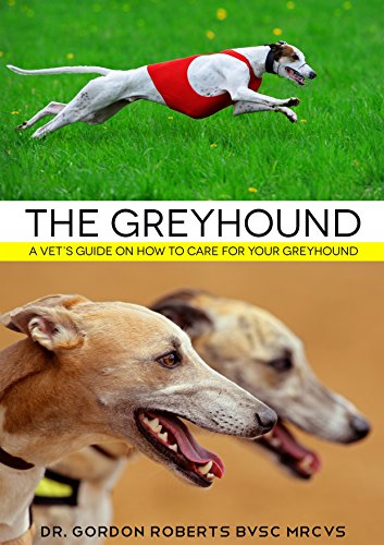 The Greyhound: A vet's guide on how to care for your Greyhound