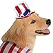 Rubie's 4th of July Pet Costume, Small, Patriotic Pooch Girl