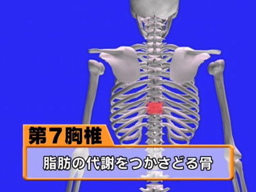 大庭史榔の 朝2分 1分骨盤ダイエット +夜30秒ゆがみリセット [DVD]
