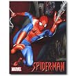 Nostalgic Spiderman Tin Sign : Spider-Man