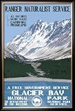 Glacier Bay Framed Poster Print, 26x38
