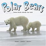 Polar Bears 2008 Wall Calendar