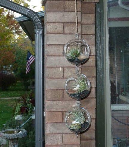 Set of 3 Hanging Glass Terrariums with 2 Hooks Small Size