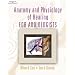 Anatomy and Physiology of Hearing for Audiologists