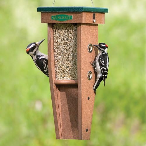 Duncraft Woodpecker Rail Walker Bird Feeder