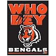 Cincinnati Bengals NFL Vertical Flag (27"x37")