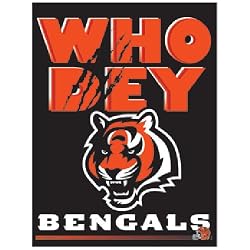 Cincinnati Bengals NFL Vertical Flag (27"x37")