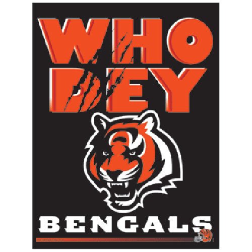 Cincinnati Bengals NFL Vertical Flag (27x37)