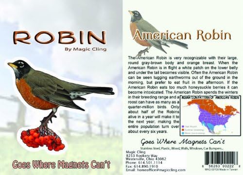 Robin Wall Decal - Realistic Robin Decor - Window Car Fridge Wall Sticker